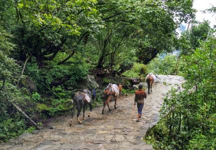 Hemkunt Sahib Pilgrimage Tour | Spiritual Journey in Uttarakhand