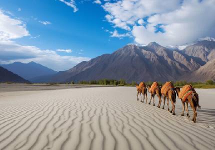 Chandigarh to Leh Ladakh 11 Days Tour Package