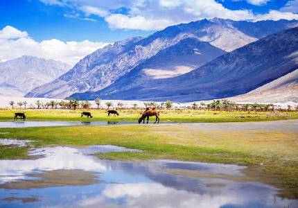 Chandigarh to Leh Ladakh 11 Days Tour Package