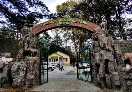 Shimla: Where Nature Meets Heritage