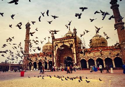 Ludhiana to Delhi