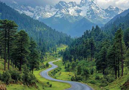 Chandigarh to Himachal Hills Tour