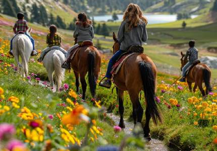 Luxury Kashmir Vacation from Chandigarh