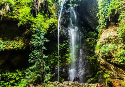 Chandigarh to Himachal Hills Tour