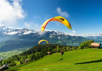 Holiday Tours